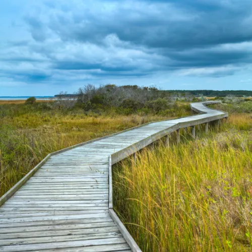 Chincoteague National Wildlife Refuge