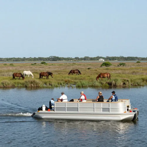 Pony boat tours