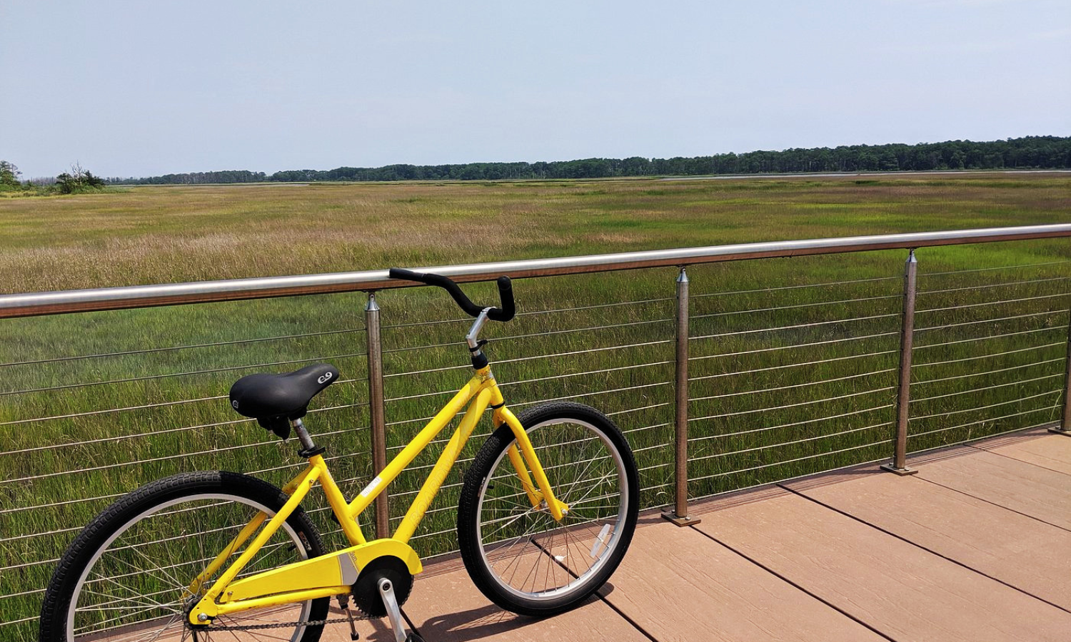 Yellow bicycle overlooking the marsh at Chincoteague National Wildlife Refuge